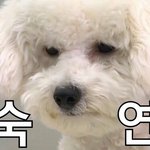 [드루와] 나만큼 얼굴 비대칭인 인간있냐ㅋㅋㅋ