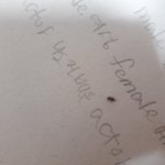 [댓글부탁해] <b>이</b>벌래이름좀알려줘ㅠ제발ㅠㅠ