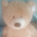[꼭조언부탁] 여자분들 <b>곰인형</b>싫어하시나요? 화내는 결혼할 여자친구