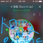 [워너원] ㅅㄷ <b>한밤</b>은 재방안함?