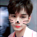 [옹성우] <b>야옹</b>! <b>야옹</b>!