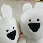 아이돌학교 백<b>지헌</b>