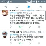 트위터 운세봇들 <b>지리지</b>않냐