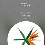 [EXO] <b>비지엠</b> 다운 못받고있는애들아