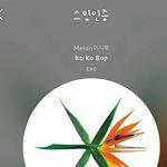 [EXO] 야 난 가족폰 캌카오 <b>비지엠</b> 다 코코밥으로 결제하고옴