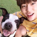 [BAP] 이런 컨셉으로