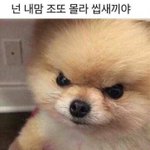 인터넷에서 엔시티 <b>재현사진</b> 검색하다가 좋은짤 찾음