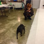 [임영민] <b>강쥐</b>짤 부탁