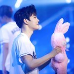 [워너원] 엑소엘인데요
