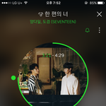 [세븐틴] ㅅㄷ) 캐로시들은 17에게 바라는점 있어?