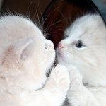중3들중에 <b>피아노학원</b> 다니는 애들 있어??
