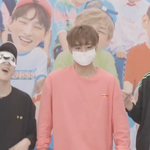 [워너원] 이거 나만 계속 돌려 보면서 쪼개고 있냐