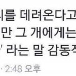 [ㅈㅂ댓글부] 언니오빠들 조언좀해주세요ㅏㅗ