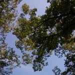 [조언부탁해] 니네 <b>워터</b>팤크가서 밥어케함?