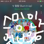 [워너원] 아직 앨범안온 너브리있니?