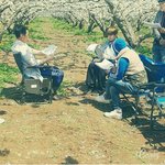 [방탄소년단] 화양연화랑 이어지는거면