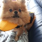 [재범이] <b>데일리</b> 재범이