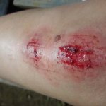 산책중 개목줄좀 하고다<b>닙시</b>다!