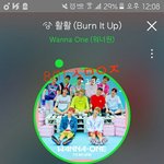 [워너원] 아니 ㅅㅂㅋㅋㅋㅋ