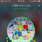 [워너원] @@@워너블 정화!!!!@@@