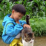 [훈이랑냥멍] 막둥이 동생 훈군과 냥이 멍이들 이야기 - 안녕 그리고...