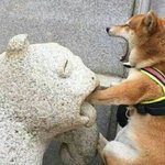 [드루와] <b>창의력</b> 높아지는 개꿀팁좀ㅠㅠㅠㅠㅡ천사 판녀들아.. 헲미