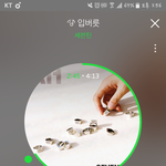 [세븐틴] 진짜 차트가 좋은노래로 꽉 차긴했는데