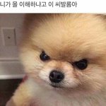 [댓글부탁해] 슈바 엄청 설레는 노래없냐