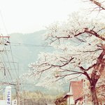 10년 후엔 성소<b>수자</b> 인식이 훨씬 나아질 것 같지 않아?