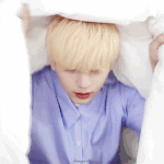 [댓글부탁해] <b>사막</b>여우상 아이돌 누구누구 있냐