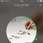 [세븐틴] 공카에 자극적이게 제목 적고 글 쓰면 안 됨?