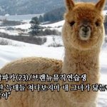 [임영민] 방토들<b>암</b> 앨범 몇개씩<b>살</b>꺼야???
