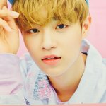 [워너원] 다들 워너원이랑 특이한 (슴유)