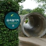 [방탄소년단] <b>한양</b>숲 꽤큰디...?