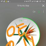 [EXO] 경수 강아지.....<b>토이</b>푸들...