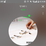 [세븐틴] 나 공카 갔다와도 되니?
