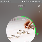 [세븐틴] 스밍에 관해서ㅠㅠ