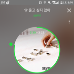 [세븐틴] 플디보고 자꾸 공식색 어쩔거냐고 하는데