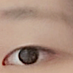 야 ㅅㅂ <b>이</b> <b>글</b> 본 <b>사람</b>?