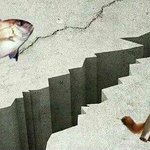 야 나 밤에 집갈때 ㅋㅋㅋㅋ