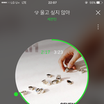 [세븐틴] 당분간 판보다 공카 많이 들어가야겠다 ㅋㅋㅋ