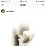 [EXO] 비비도 아간데ㅜㅜ
