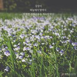 들어와줘 나약간 정신에 문제생긴거같아..