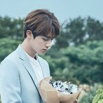[방탄소년단] 이삐들 궁예는 오늘 잠시<b>접자</b>ㅜㅜ