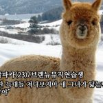 [임영민] 화보<b>집사</b>는곳