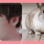 [박지훈] 싱크로율 100이다 ㅋㅋㅋㅋㅋ