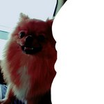 [재범이] <b>데일리</b> 재범이