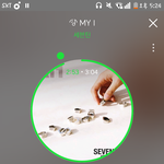 [세븐틴] 우리 공카