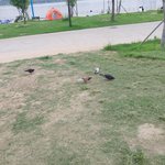 [뉴이스트] +)<b>똑똑</b> 머글입니당 들어가도 될까요?