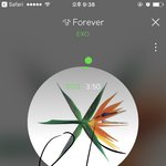 [EXO] 타팬덤이랑 ㅇㄱㄹ들 우리한테 졸라 관심 많네